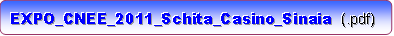 EXPO_CNEE_2011_Schita_Casino_Sinaia