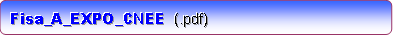 EXPO_CNEE_Anexa_A