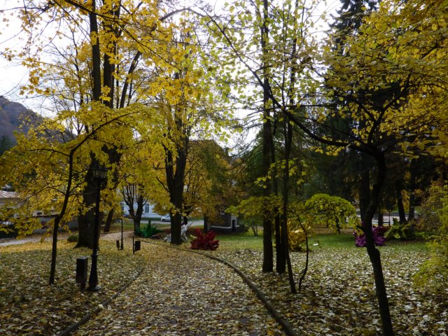 p1140791.jpg