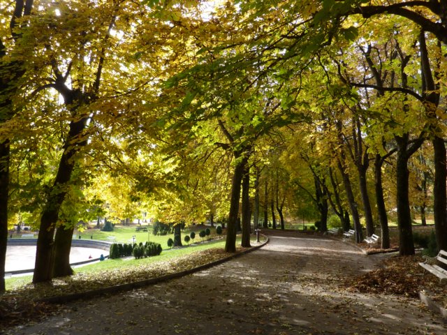 p1140802.jpg
