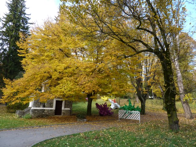p1140821.jpg