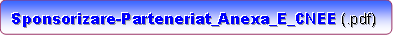 Pachete Sponsorizare-Parteneriat_Anexa_E_CNEE